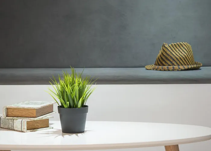 Tia Maria Is Situated In The Southern Part Of The Sunny Pensjonat